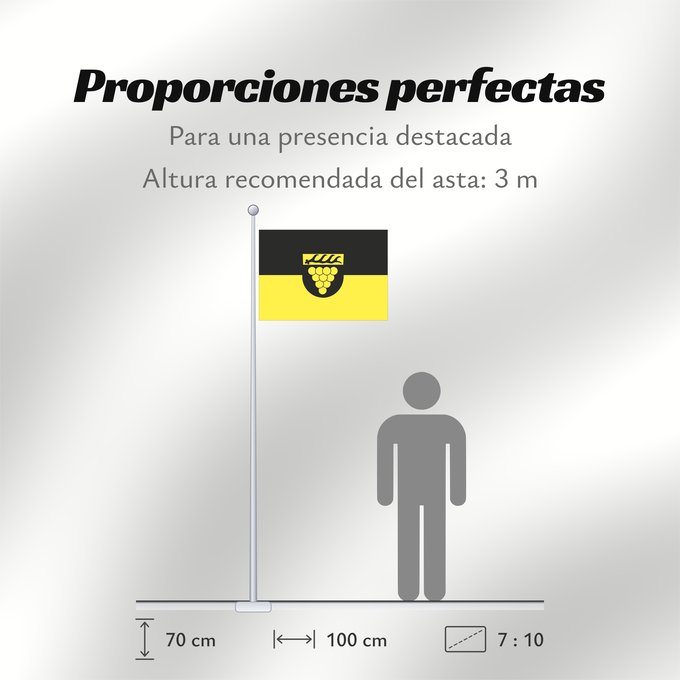 Proporciones de la bandera: Weinstadt (Region Stuttgart)