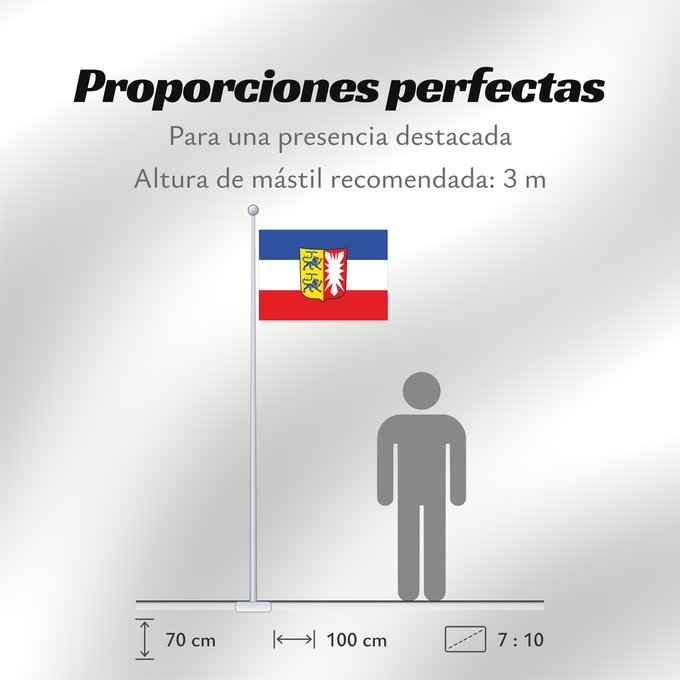 Proporciones de la bandera: Schleswig-Holstein