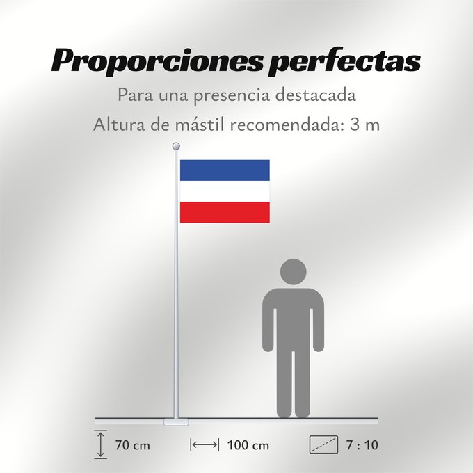 Proporciones de la bandera: Schleswig-Holstein