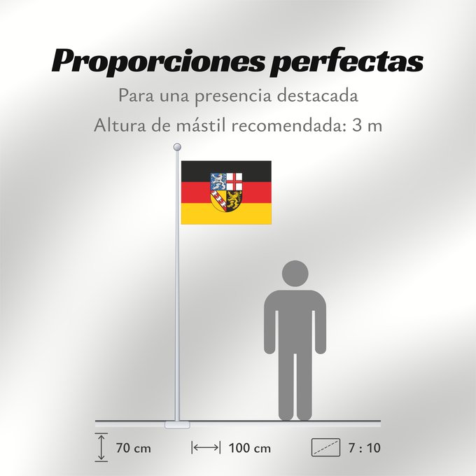 Proporciones de la bandera: Saarland	Sarre