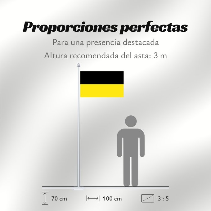 Proporciones de la bandera: Munich striped Munich Munich (rayé) Múnich (rayas) Stadt München Monaco (a strisce) Η σημαία του Μονάχου