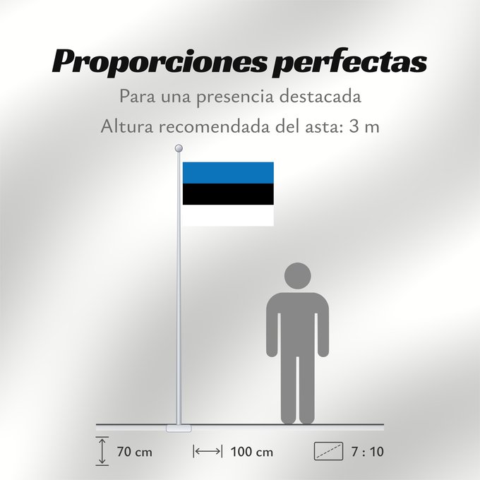Proporciones de la bandera: Estonia L Estonie Estland Estone Estónia Estonii Сцяг Эстоніі Национално знаме на Естония Estonská vlajka Σημαία της Εσθονίας Eesti lipp پرچم کشور استونی Viron HEastóine Észtország エストニアの国旗 ესტონეთის დროშა Estijos Igaunijas Знаме на Естонија Estoniei Флаг