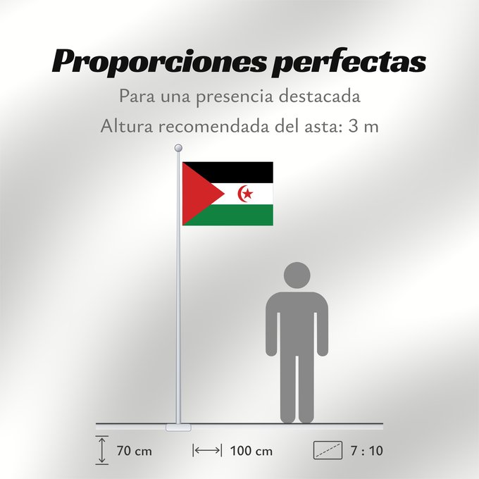 Proporciones de la bandera: Sahrawi Arab Democratic Republic	Western Sahara	République arabe sahraouie démocratique	República Árabe Saharaui Democrática	Demokratischen Arabischen Republik Sahara	Repubblica Democratica Araba Sahrawi	Arabische Democratische Republiek Sahara	República 