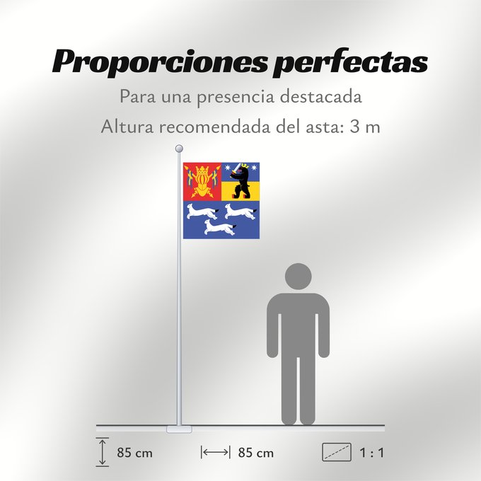 Proporciones de la bandera: Länsi-Suomen lääni