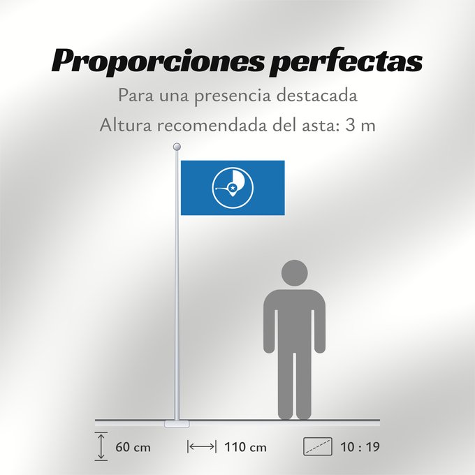 Proporciones de la bandera: Yap Guaire