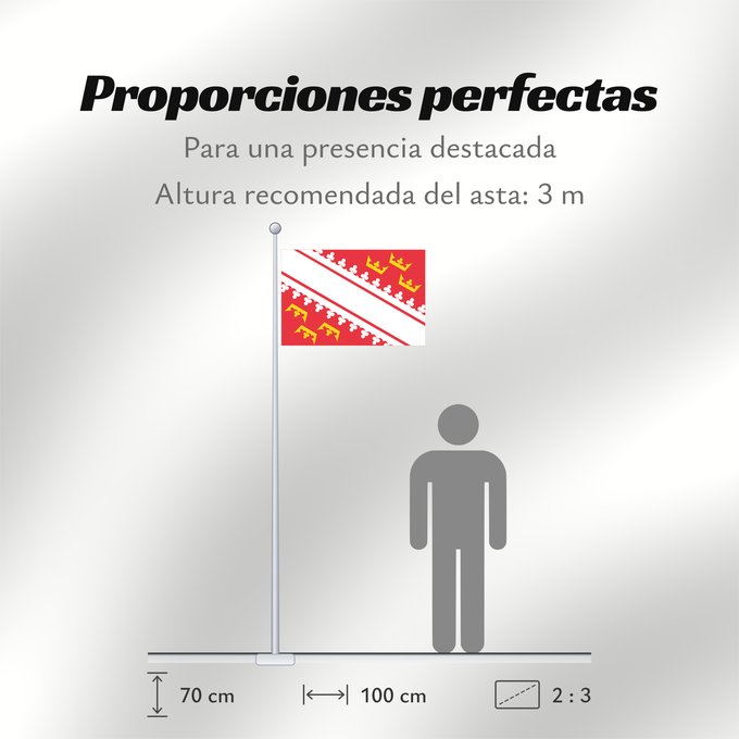 Proporciones de la bandera: Alsace L’Alsace Alsacia Französischen Region Elsass Alsazia