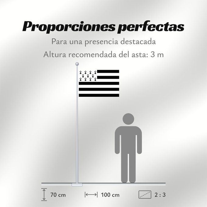Proporciones de la bandera: Brittany	The Gwenn-ha-du, flag of Brittany	Le Gwenn-ha-du, drapeau de la Bretagne	Spaniel Bretón	Bretagna	Ar Gwenn-ha-du, banniel Breizh