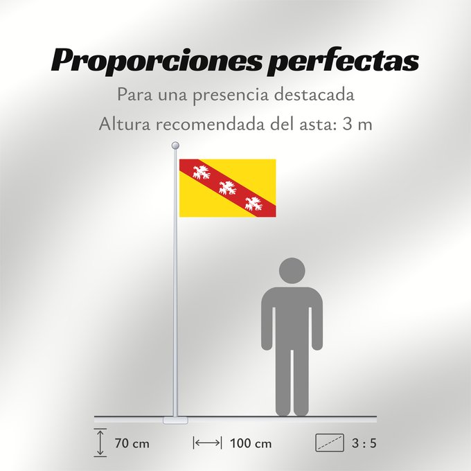 Proporciones de la bandera: Lorraine	Region Lorraine in France	Région Lorraine en France	Lorena 	Lorena