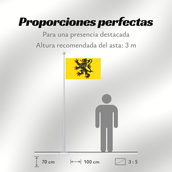 Proporciones de la bandera: Generic flag of Nord-Pas-de-Calais	Lion of Flandres appearing	Lion des flandres	Norte-Paso de Calais	Flämischer Löwe	Nord-Pas-de-Calais