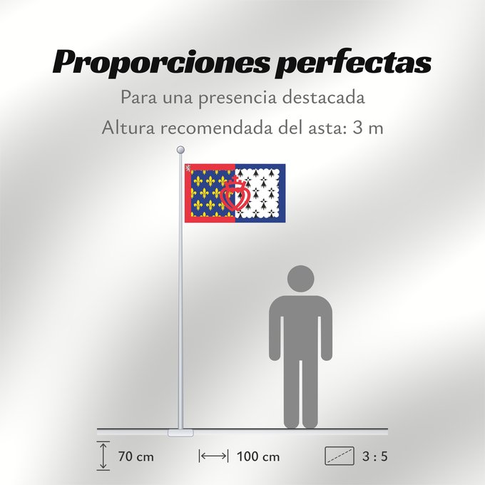 Proporciones de la bandera: Unofficial flag of Pays-de-la-Loire	Unofficial flag of the region Pays-de-la-Loire in France	Non officiel de la région Pays-de-la-Loire	Países del Loira	Pays de la Loire	Los Païses de Léger