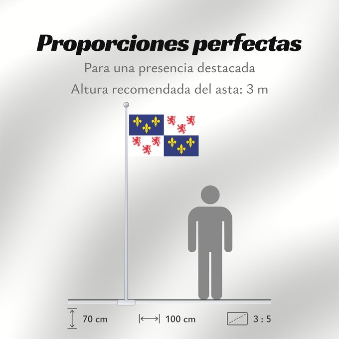 Proporciones de la bandera: Picardie Region Picardie in France Région Picardie en France Picardo Picard