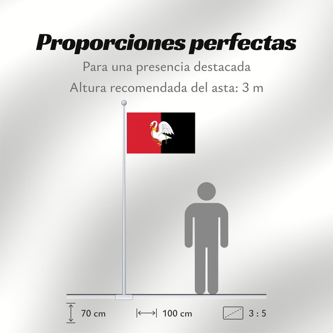 Proporciones de la bandera: Buckinghamshire