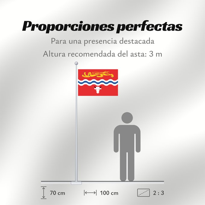 Proporciones de la bandera: Herefordshire