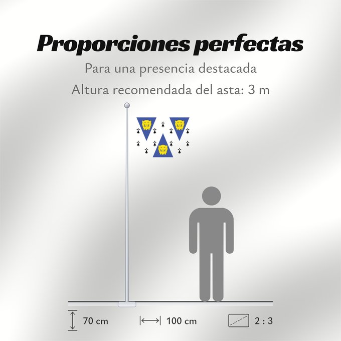 Proporciones de la bandera: Shropshire