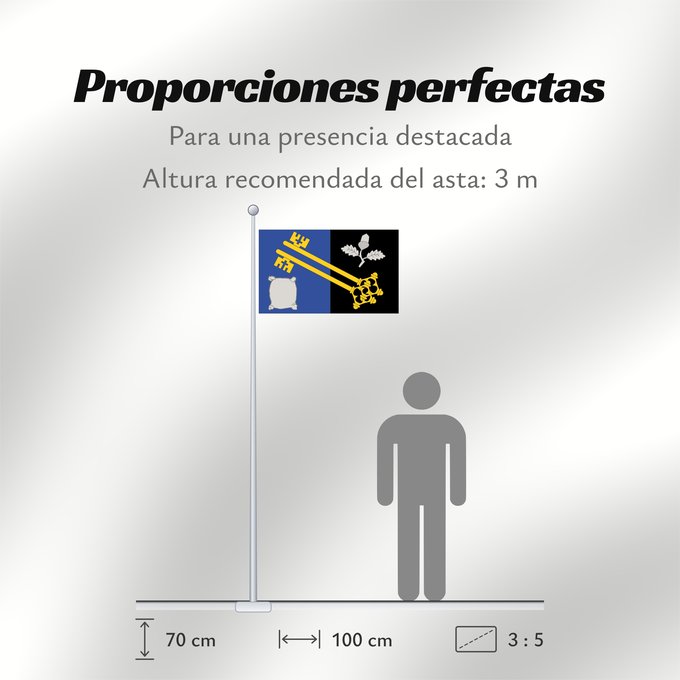 Proporciones de la bandera: County flag of Surrey The County Flag of Surrey Surrey