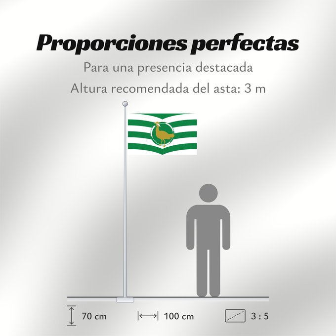 Proporciones de la bandera: County Flag of Wiltshire	Wiltshire	Le Wiltshire