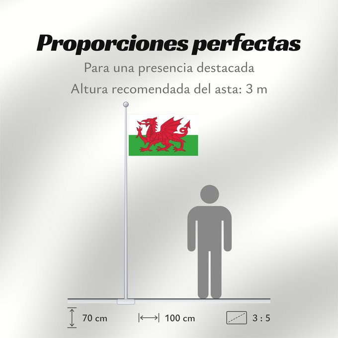 Proporciones de la bandera: Wales 2	Wales	Pays de Galles	Gales	Wale	Galles	Walii	Wīelisc Fana	علم ويلز	Banniel Kembre	Cymru	Galesko bandera	Walesin	Breataine Bige	Brattag Vretin	Walesa	Kembra	Valliae	Знаме на Велс	Couleu de Galles	Флаг Уэльса	Прапор Уельсу
