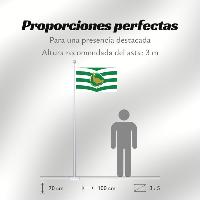 Proporciones de la bandera: Windsor and Maidenhead