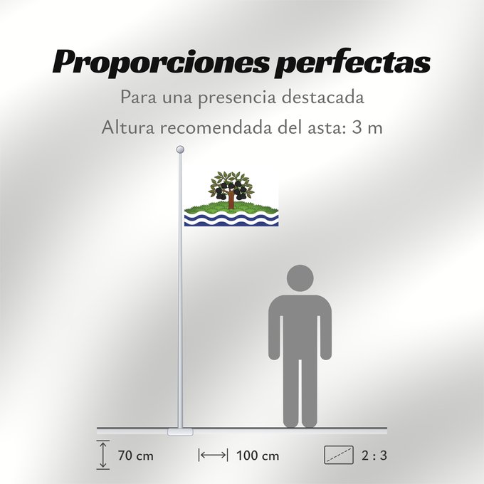 Proporciones de la bandera: Worcestershire