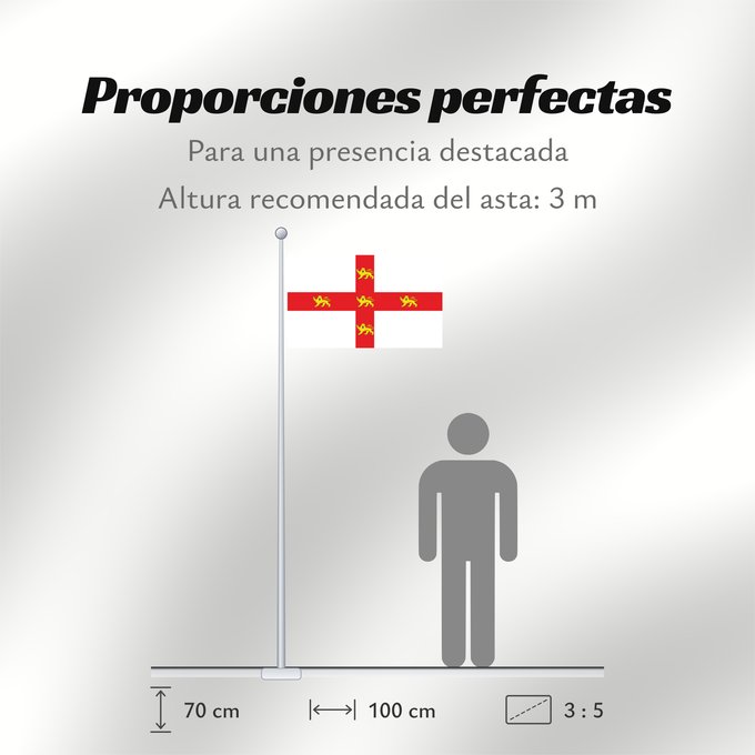 Proporciones de la bandera: York