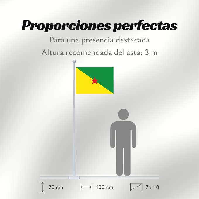 Proporciones de la bandera: French Guiana	Guyane	Guayana Francesa	Französisch-Guayana	Guyana Francese
