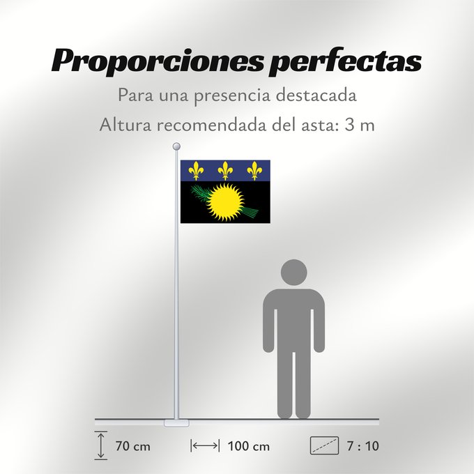 Proporciones de la bandera: Unofficial flag of Guadeloupe  local	Unofficial local flag of Guadeloupe	Guadeloupe	Guadalupe. Uso no oficial	Guadalupa