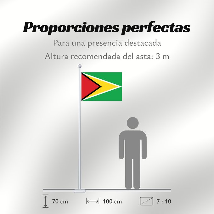Proporciones de la bandera: Guyana Guiana Wayana wiphala Gujano Gwayana Wayana unancha Флаг Гайаны Guyanas Quốc kỳ Guyana