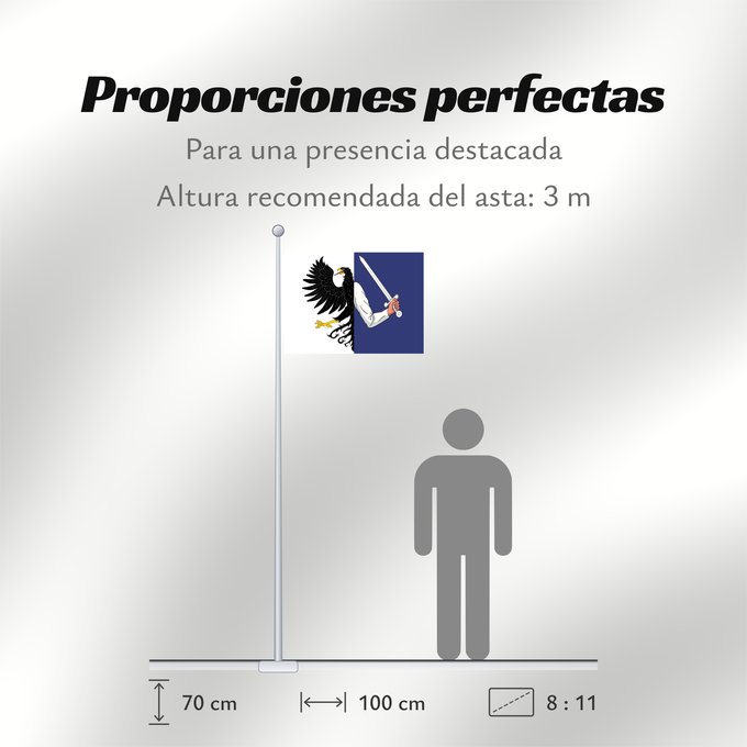 Proporciones de la bandera: Connacht	W Connacht	Connacht ou Connaught