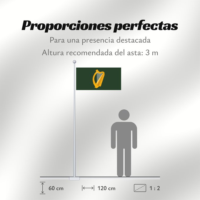 Proporciones de la bandera: Leinster W Leinster