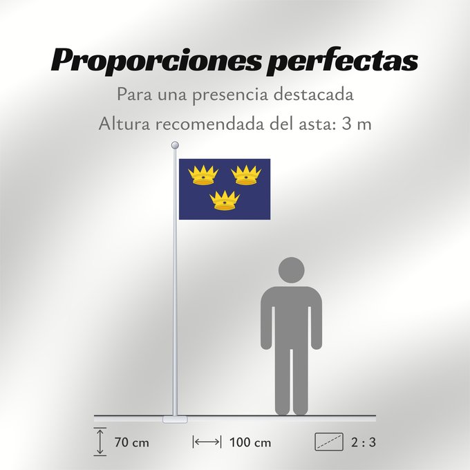 Proporciones de la bandera: Munster