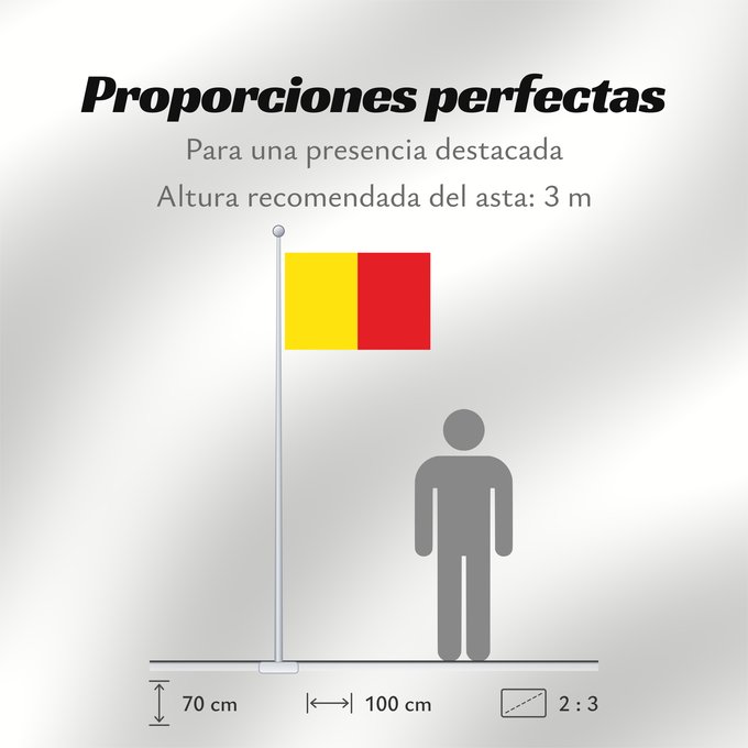 Proporciones de la bandera: Naples	Province of Naples	Province de Naples	Provincia de Naples	Provinz Naples	Napoli