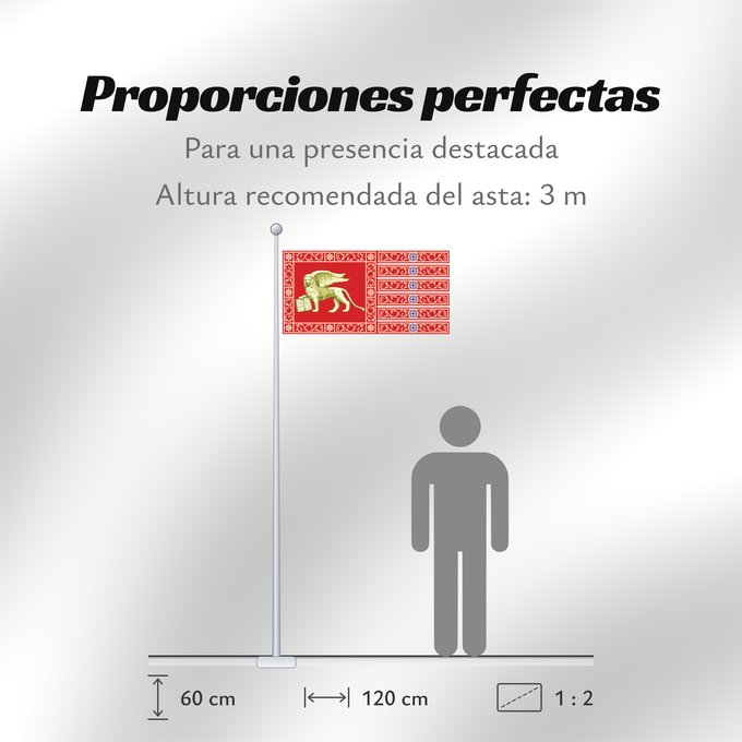 Proporciones de la bandera: Most Serene Republic of Venice Province of Venice Venise Provincia de Venecia Provinz Venedig Provincia di Venezia Republic of Venice