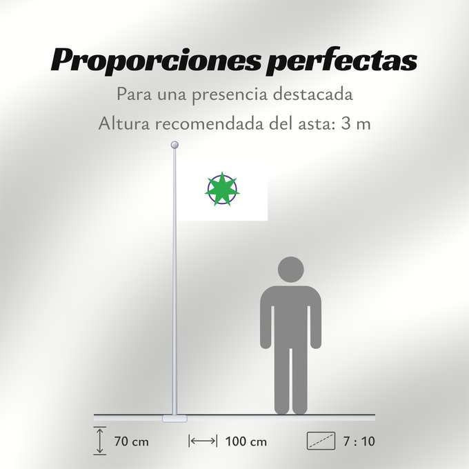 Proporciones de la bandera: Aomori