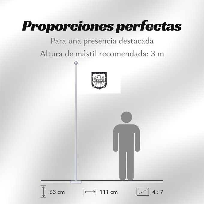 Proporciones de la bandera: Mexico City, Mexico	Mexico City (District)	Ciudad de México	Ciudad de México, México	Mexiko-Stadt	Città del Messico