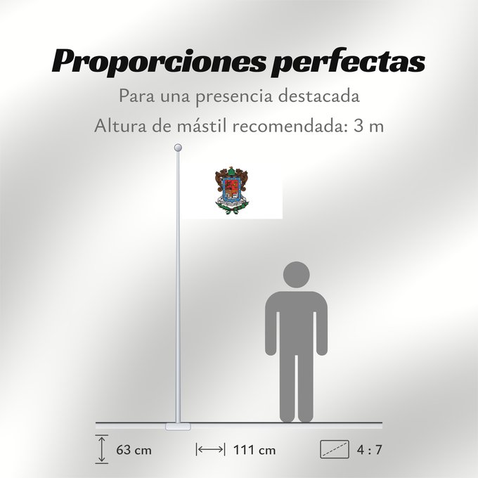 Proporciones de la bandera: Michoacan	Michoacán