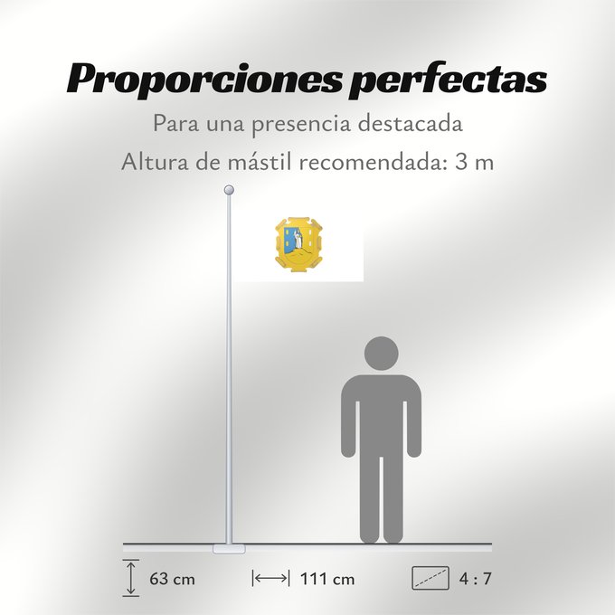 Proporciones de la bandera: San Luis Potosi	San Luis Potosí