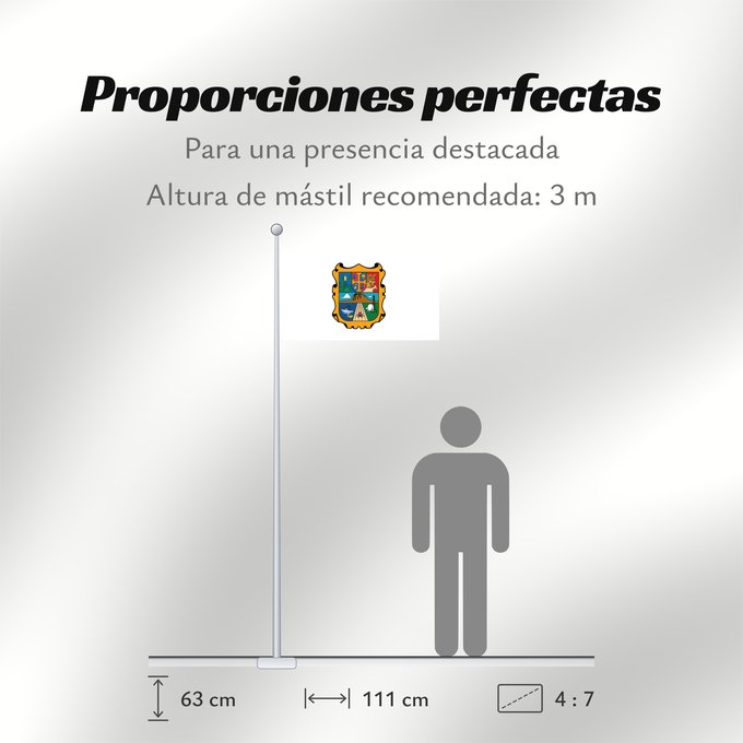 Proporciones de la bandera: Tamaulipas