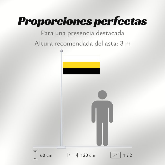 Proporciones de la bandera: Perak Malaysian state of Perak