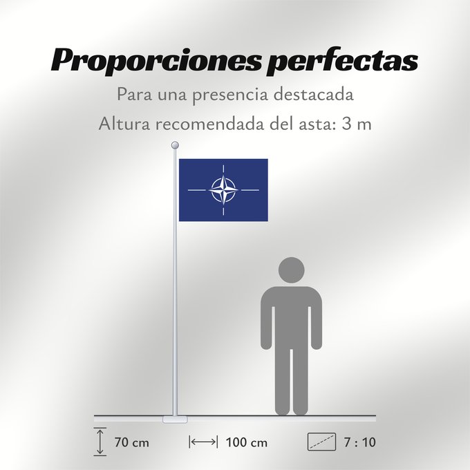 Proporciones de la bandera: NATO North Atlantic Treaty Organization NATO L Organisation du traité de l Atlantique nord OTAN Organización del Tratado del Atlántico Norte OTAN Organizazione/ North Atlantic Starts Treaty Dell Organizzazione del Trattato dell Atlantico del Nord NATO