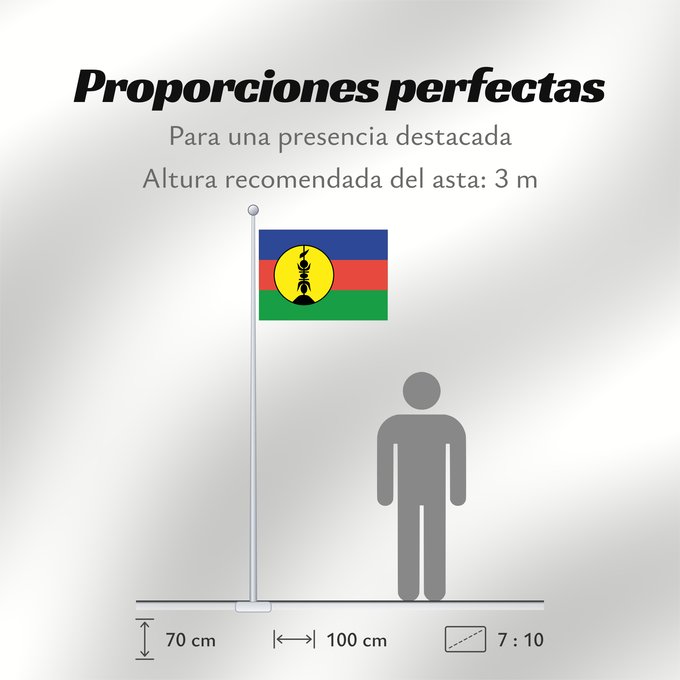Proporciones de la bandera: FLNKS	Kanak and Socialist National Liberation Front political party	Front de libération nationale kanak et socialiste	Colores Pantone http //www	Neukaledonien	Nuova Caledonia	Front d Alliberament Nacional Canac Socialista