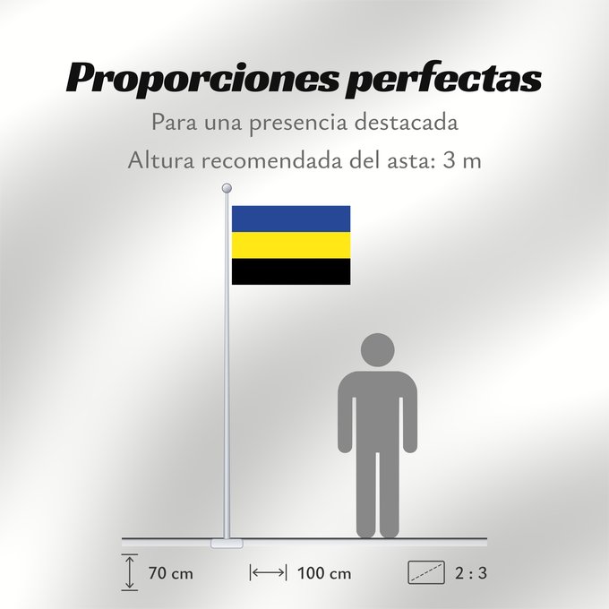 Proporciones de la bandera: Gelderland	Province of Gelderland in the Netherlands	Güeldres	Gelderland 