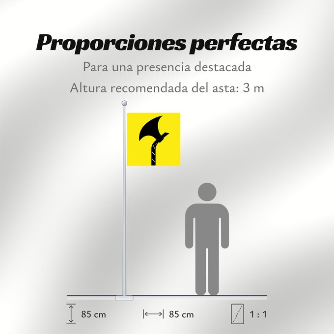 Proporciones de la bandera: Telemark
