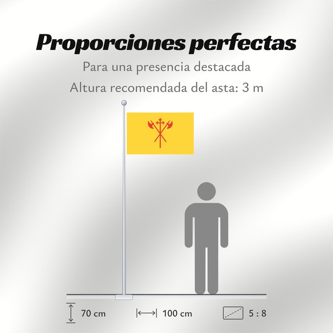 Proporciones de la bandera: Sør-Trøndelag	Sør-Trøndelag County, Norway	comté de Sør-Trøndelag