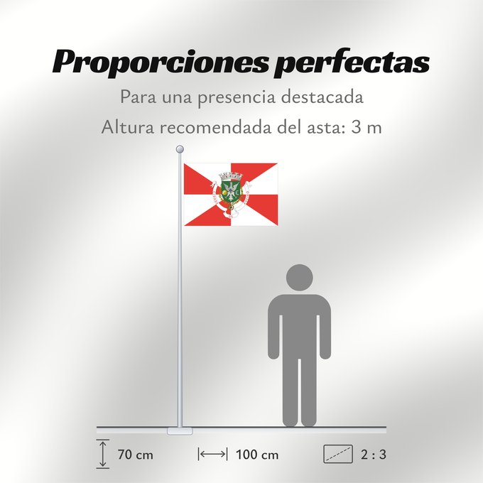 Proporciones de la bandera: Aveiro
