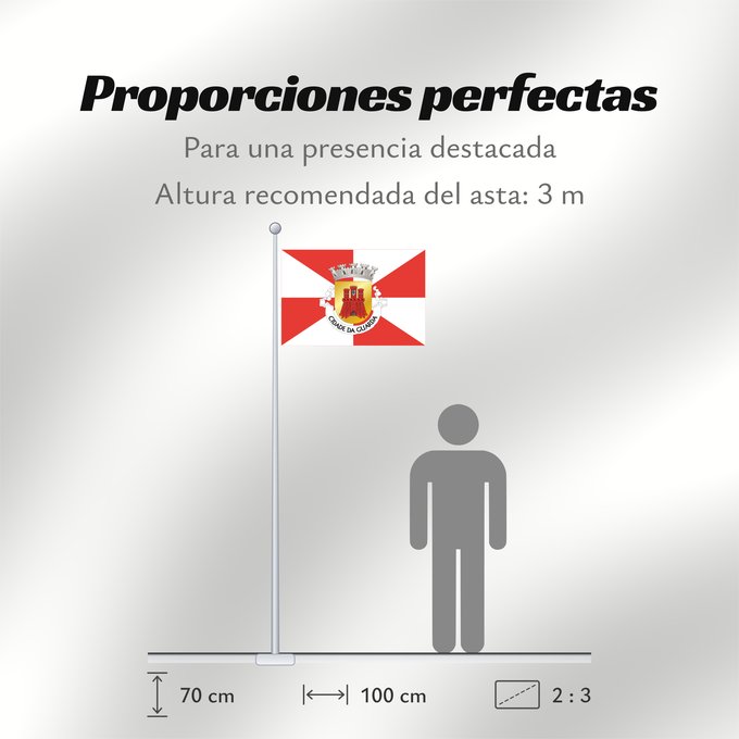 Proporciones de la bandera: Guarda