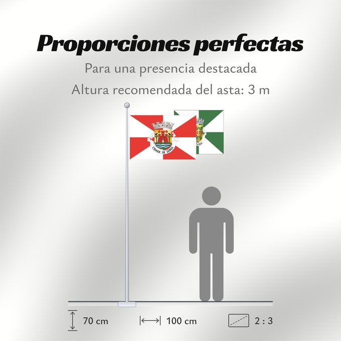 Proporciones de la bandera: Leiria
