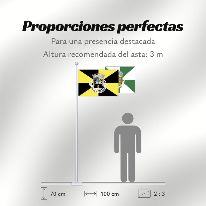 Proporciones de la bandera: Portalegre