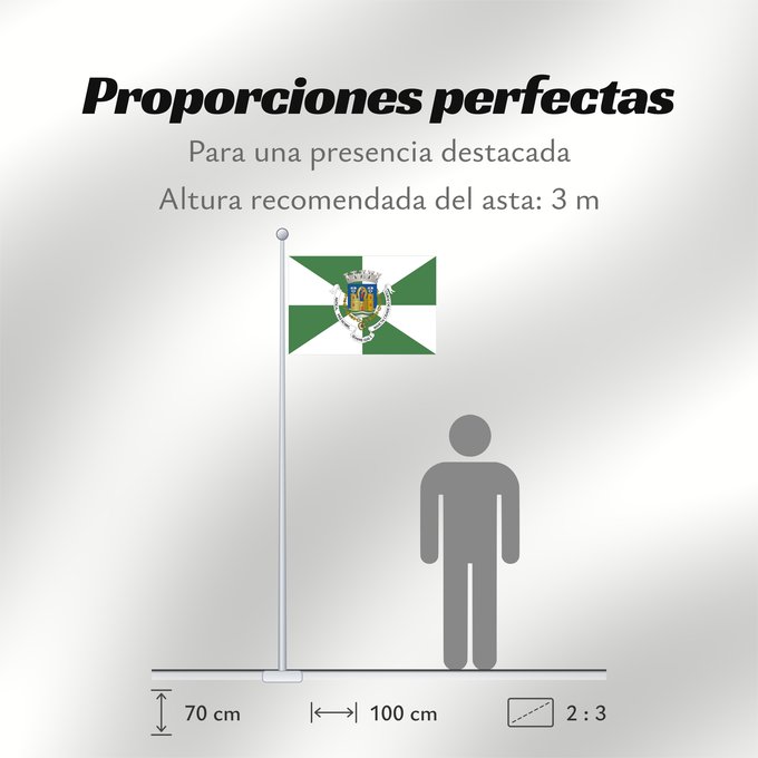 Proporciones de la bandera: Porto