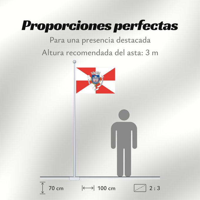 Proporciones de la bandera: Santarém