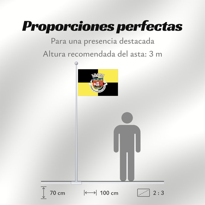 Proporciones de la bandera: Viana do Castelo